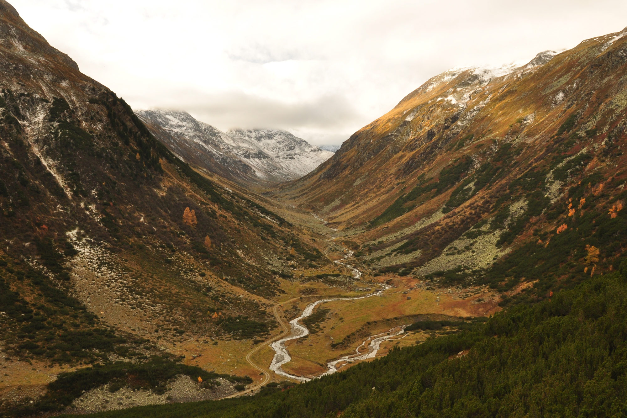Fluelapass